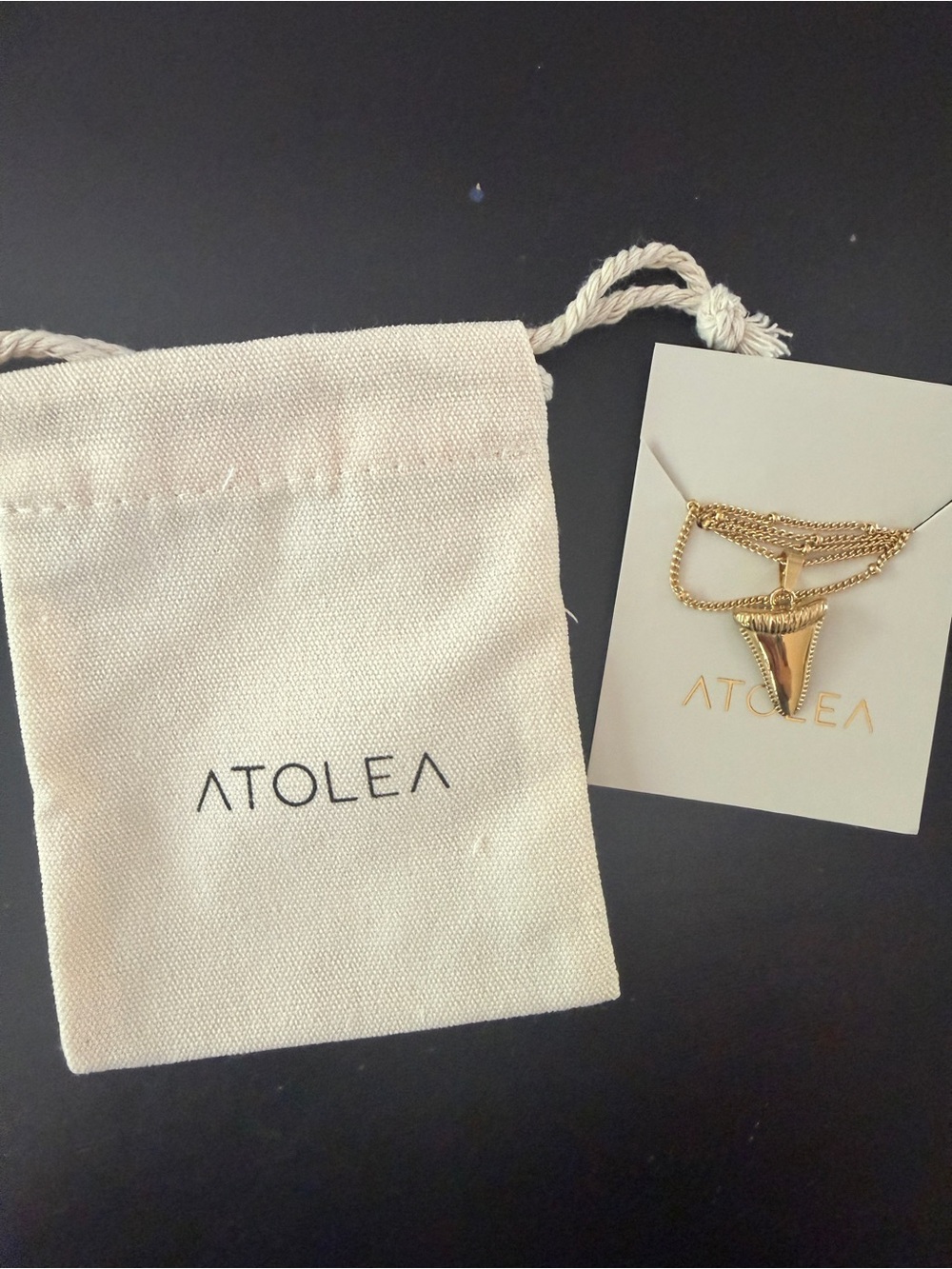 Atolea Shark Tooth Pendant Necklace